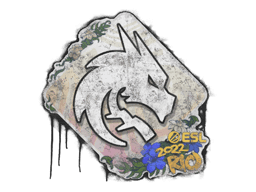 Team Spirit | Rio 2022