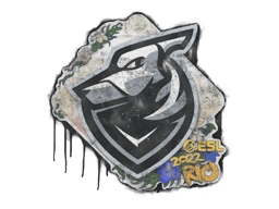 Grayhound Gaming | Rio 2022