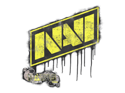 Natus Vincere | Paris 2023