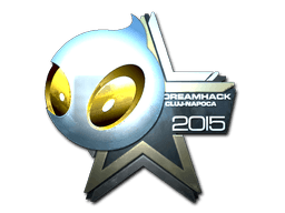 Team Dignitas (Foil) | Cluj-Napoca 2015