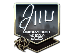 allu (Foil) | Cluj-Napoca 2015