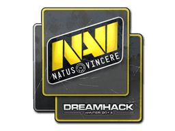 Natus Vincere | DreamHack 2014