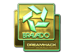 Bravado Gaming (Gold) | DreamHack 2014