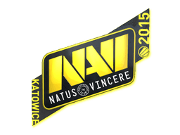 Natus Vincere | Katowice 2015