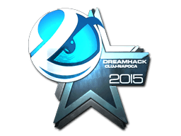 Luminosity Gaming (Foil) | Cluj-Napoca 2015