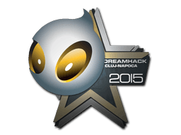 Team Dignitas | Cluj-Napoca 2015