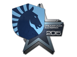 Team Liquid | Cluj-Napoca 2015