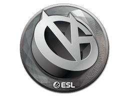 ViCi Gaming | Katowice 2019