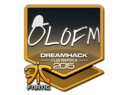 olofmeister | Cluj-Napoca 2015