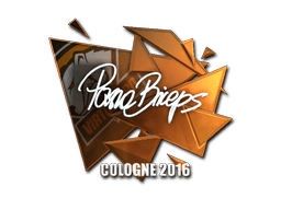 pashaBiceps (Foil) | Cologne 2016