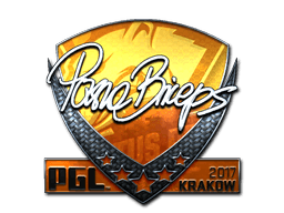 pashaBiceps (Foil) | Krakow 2017