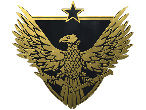 Brigadier General Pin