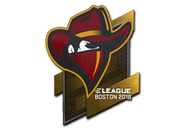 Sticker | Renegades | Boston 2018