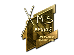 Sticker | xms (Gold) | Boston 2018