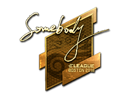 Sticker | somebody (Gold) | Boston 2018