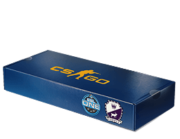 ESL One Cologne 2014 Cobblestone Souvenir Package