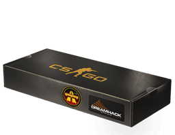 DreamHack 2014 Overpass Souvenir Package