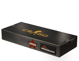 DreamHack 2014 Cache Souvenir Package