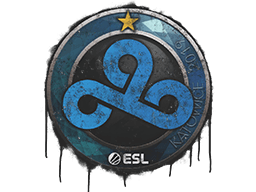 Sealed Graffiti | Cloud9 | Katowice 2019
