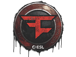 Sealed Graffiti | FaZe Clan | Katowice 2019