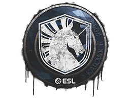 Sealed Graffiti | Team Liquid | Katowice 2019