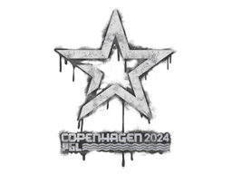 Sealed Graffiti | Complexity Gaming | Copenhagen 2024