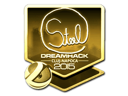 Sticker | steel (Gold) | Cluj-Napoca 2015