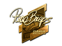 pashaBiceps (Gold) | Boston 2018