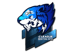 Flash Gaming (Foil) | Boston 2018
