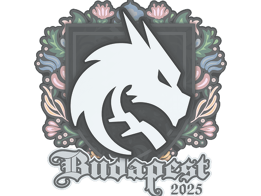 Sticker | Team Spirit | Budapest 2025