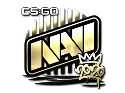 Natus Vincere (Gold) | 2020 RMR