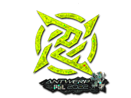 Ninjas in Pyjamas (Glitter) | Antwerp 2022