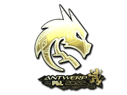 Team Spirit (Gold) | Antwerp 2022