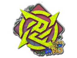Ninjas in Pyjamas (Glitter) | Rio 2022